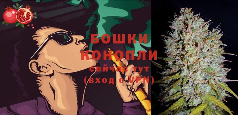 Каннабис Ganja  Лодейное Поле 